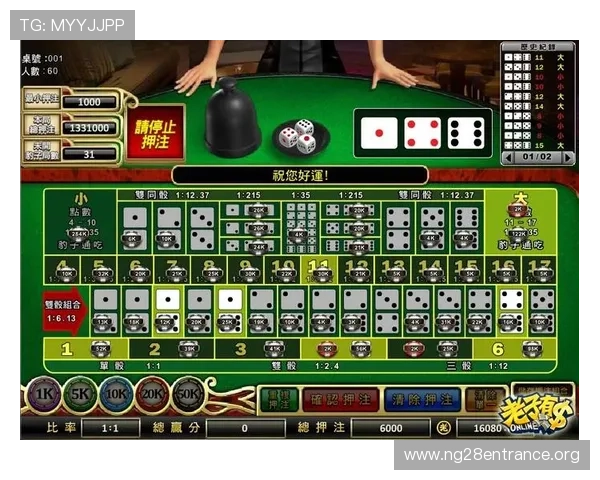 全面解析血战骰宝的玩法规则与常见策略帮助玩家快速入门